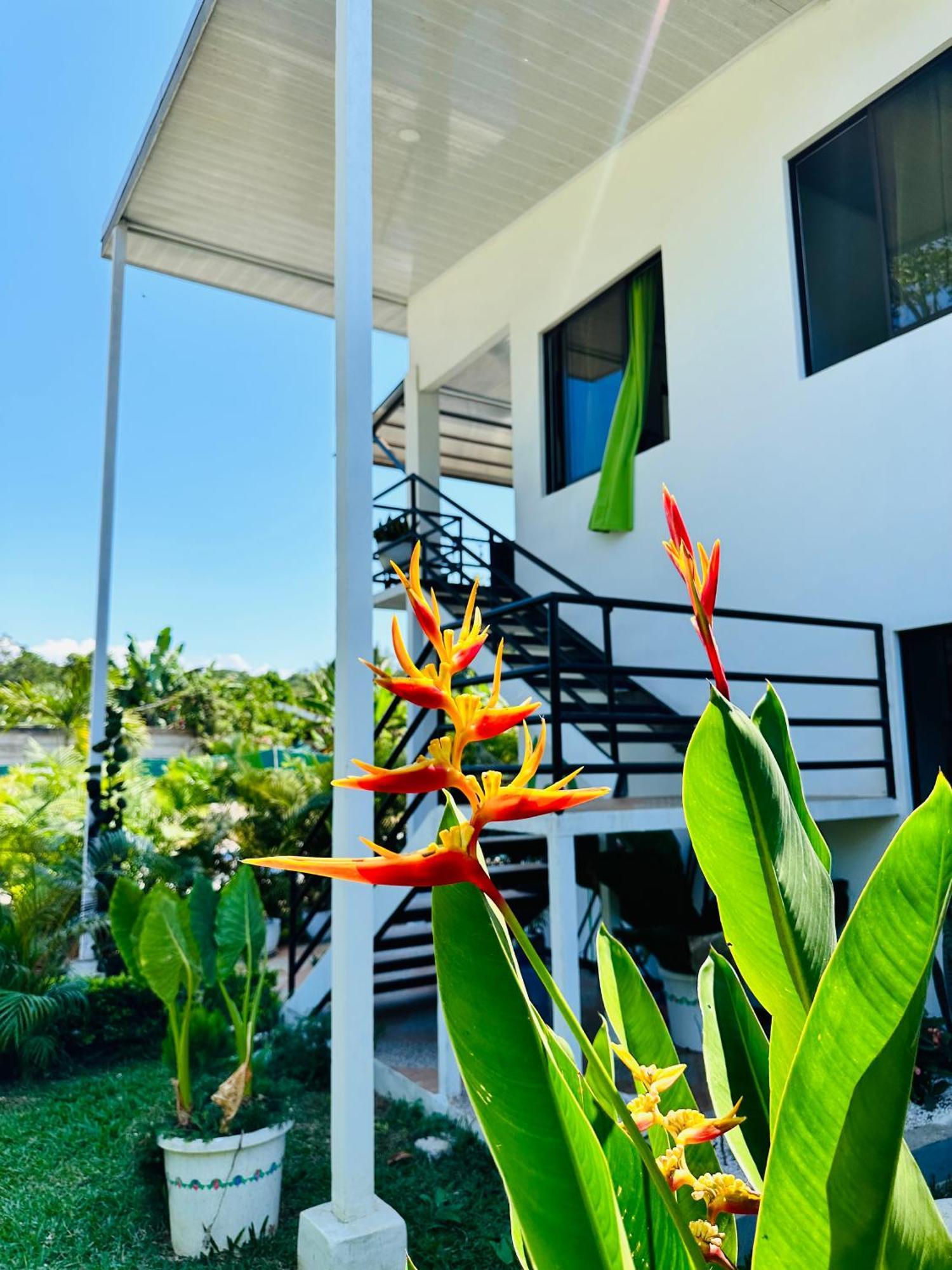 Oso Perezoso Pool Villa Puerto Viejo de Talamanca Exterior foto